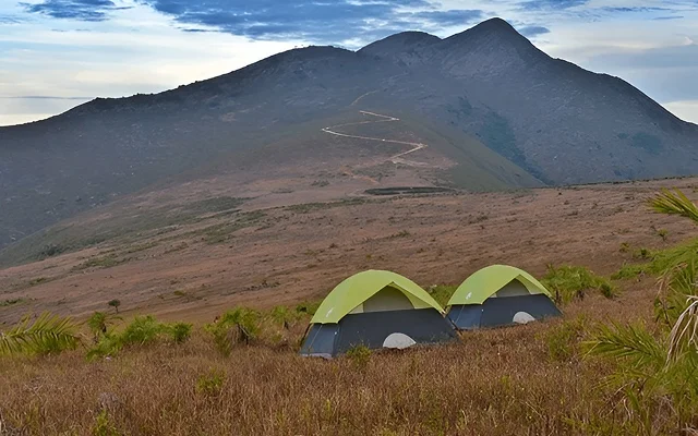 Deomali Camping Tent Services